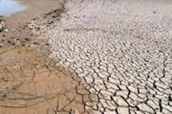 A través de diferentes frentes se atiende la sequía en Sinaloa, explica Rocha