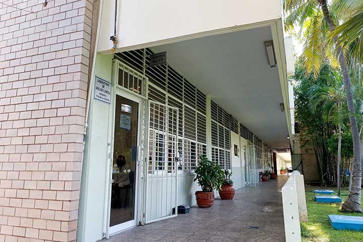 saludfo