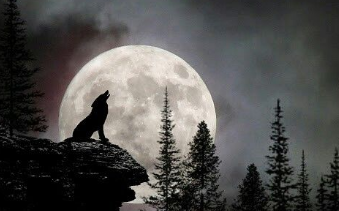 luna de lobo