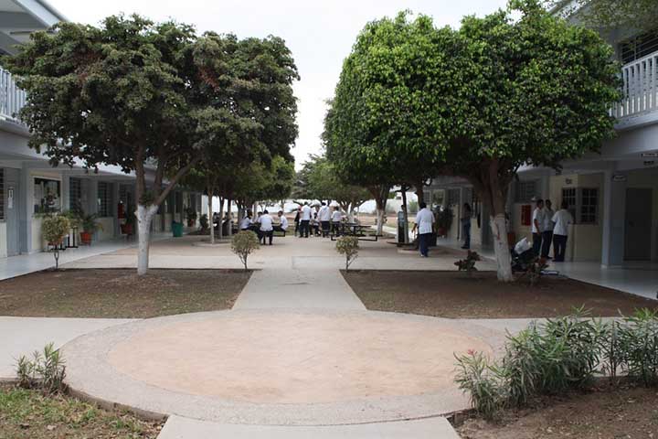 zonnort
