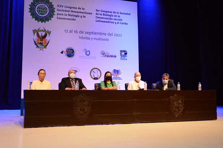 jóvenes