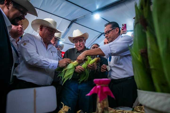 garantias