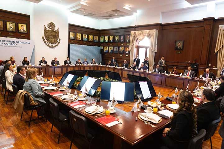 plenaia