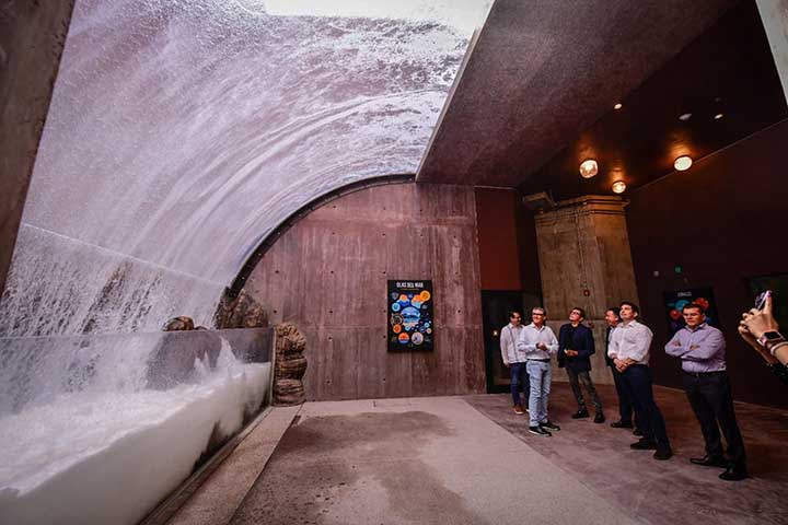acuario