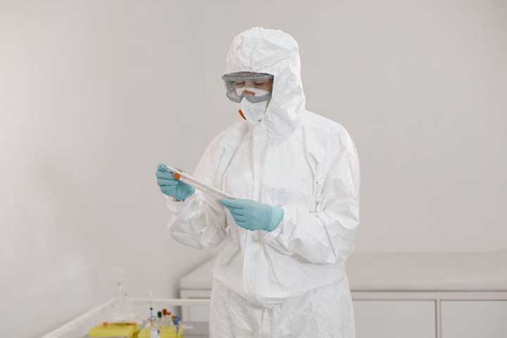 lab