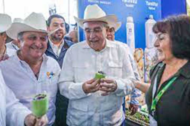rochaexpo
