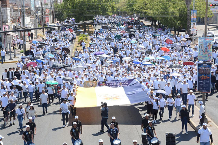 megamarchuas