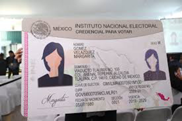 inessss